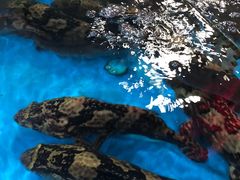 -清水湾3号(东方小周海鲜店)