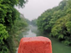 玫瑰蜜糕-江南春(中山中路店)