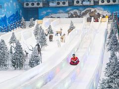 -世界之窗阿尔卑斯冰雪世界