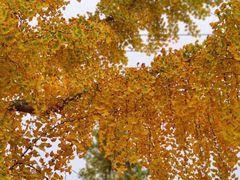 -金堂县云顶石城风景区