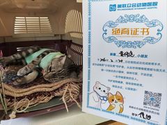 -美联众合动物医院·24h京西诊疗中心