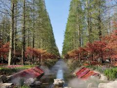 -东平国家森林公园