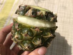 -麦德龙(郑东店)