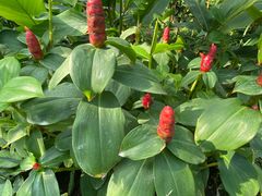 -国家植物园南园