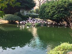 -九龙公园