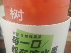 -树夏(建设路店)