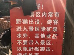 -湖州龙王山景区