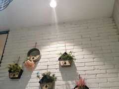 -三猫黑鱼花(南大店)