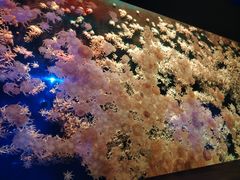 -珠海长隆海洋王国