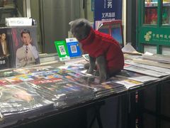 -新元素(三里屯太古里南区)