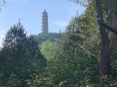 -北坞公园