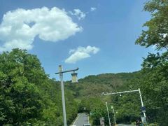 -句容茅山景区