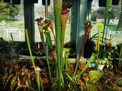 -国家植物园南园