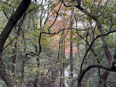 -宁波市保国寺古建筑博物馆