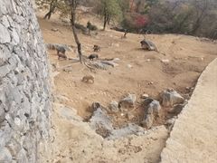-九皇山景区