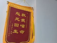 -嘉馨宠物医院·CT影像转诊·心脏科·犬猫全科诊疗中心(下沙大学城院区)