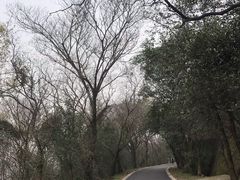 -大蜀山国家森林公园