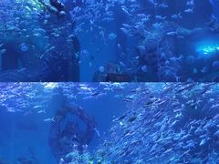 -波塞冬旅游度假区