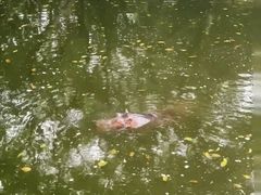 -泉州海丝野生动物世界