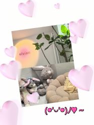 -薇薇安花系SPA