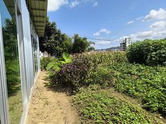 -逢缘柴火农家乐(连南店)