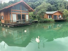 -杭州开元森泊度假乐园