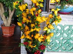 -顺德了能馆(虎门店)