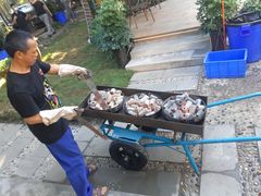 -醉月城西昌火盆烧烤(天府店)