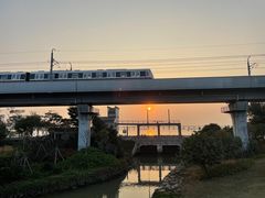 -宝安西湾红树林湿地公园