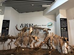 -烟台自然博物馆