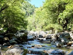 -石台牯牛降景区