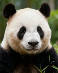 -钴蓝西服定制·男士礼服租赁(鄞州店)