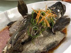 清蒸老虎斑-范饭椰林川湘味海鲜·椰子鸡(三亚湾椰梦长廊店)