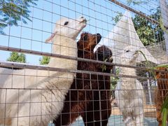 -迪茵湖田家舍生态农场