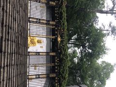 -大金鹰园