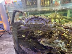 -蟹之国·精品蟹料理(极地店)