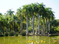 -中国科学院西双版纳热带植物园