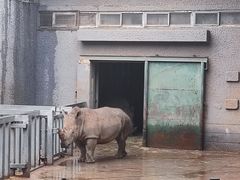 -红山森林动物园