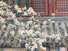 -潭柘寺景区