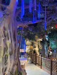 -酷嗒动物文化乐园(cutezoo西溪乐天城店)