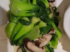 香菇炒菜心-渝信川菜(工体店)
