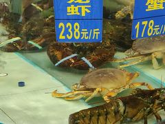 水产区-东豪园林海鲜酒家(南港路辅路店)