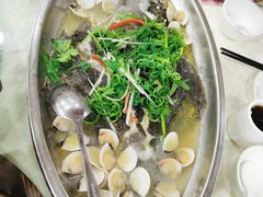 无姜海蚌蒸多宝鱼-食为先(中山七路店)