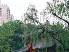 -四川大学(望江校区)