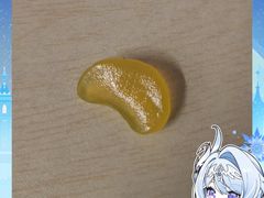 -上海市农业科学院动物（宠物）医院