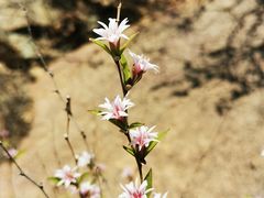 -云峰山自然风景区