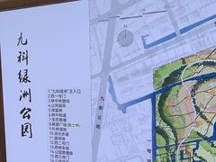 -九科绿洲