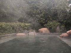 -天目湖御水温泉·度假酒店