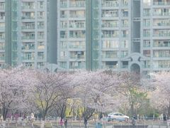 -西北湖绿化广场