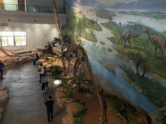 -自贡恐龙博物馆